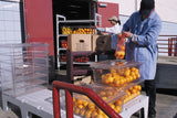 Dunnage Rack Solid 30"-Spkgy