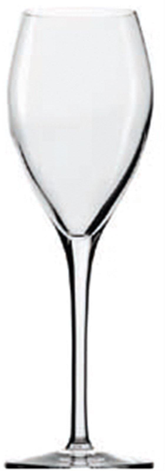 Sparkling&Water Champagnerkelch 210ml h_ 205mm - MyLiving24